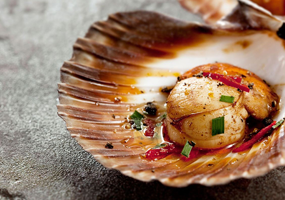 Морские гребешки - статьи Атлант