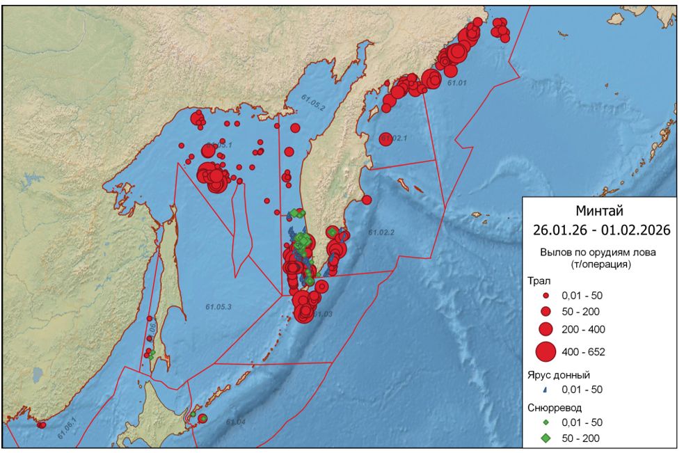  Распределение уловов минтая в Дальневосточном рыбохозяйственном бассейне по орудиям лова 26 января – 1 февраля 2026 г.