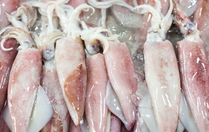 Кальмары - статьи Атлант