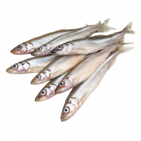 Корюшка оптом от производителя Атлант-Фиш